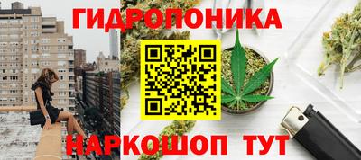 спиды Пугачёв