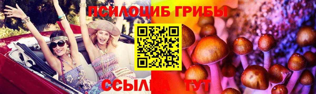 Псилоцибиновые грибы MAGIC MUSHROOMS  Вход с VPN  Сертолово 