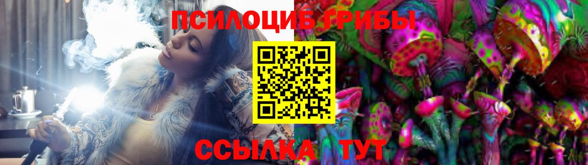 Псилоцибиновые грибы Psilocybine cubensis Сертолово